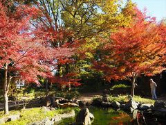 【睡足軒の森】こちら、知らなかったのですが、寄ってみました。庭の見学は無料です。