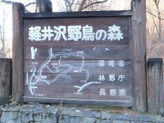 軽井沢野鳥の森