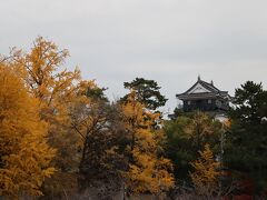 カクキューから岡崎公園へ
岡崎城天守閣が見えてきました
