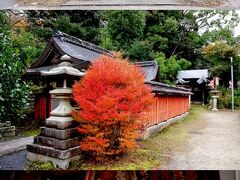 疏水沿いに歩いていくと、三井寺の手前に神社があったのでこちらでもお参りします。三尾神社です。
三尾神社の神紋は兎ということで兎神社とも呼ばれているそうです。
ちょうど今年は卯年。今年生まれたと思われる子を連れた人がお参りをしている姿も見られます。
狛犬ではなく狛兎？だし、兎神社に相応しい。