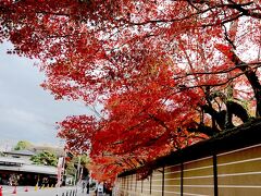 びわこ浜大津から15分強で石山寺に到着。
そこから瀬田川沿いに10分ほど歩くと石山寺[https://www.ishiyamadera.or.jp/]の山門に到着します。

すでに門の手前から紅葉が溢れてきています。