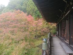 朝光寺に向かう道中、紅葉の名所と案内板が見えたので播州清水寺へ。山上まで車で行けますが、朝光寺からは結構時間がかかりました。