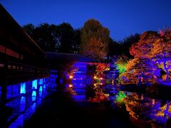 京都駅から10分ほどで到着。入口がちょっとわかりにくいのですが、観光客も少ないので非常におすすめなスポットです。何度かお昼にお庭を楽しみに来たことはあったのですが、夜にライトアップをしていると聞いて来てみました。