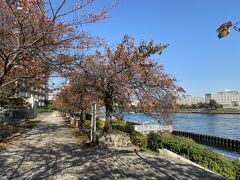 相生橋を渡り、石川島公園を歩きます。