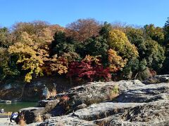 11:05　長瀞岩畳

月の石もみじ公園から歩いて岩畳へ。
紅葉している木もありますが、もう見頃は過ぎたのかな？