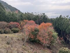 比叡山山頂付近の展望広場からの眺め
琵琶湖や大津の街が広がっています