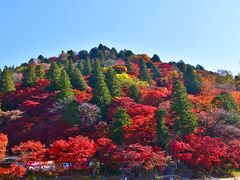 標高254mの飯盛山（いいもりやま）
