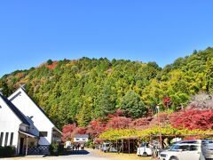 香嵐渓へは、紅葉の時期は大混雑、渋滞覚悟で、
毎年、裏道を時間をかけて休日に行きますが、
今年は休日に行けず、平日に高速から有料で国道153号へ
少しピークは過ぎたようですが、
運良く渋滞なく（休日だと車が全然動かず辿り着けるか?）、
国道153号に別れを告げ、国道420号へと足助町に向かい、
鳳来寺道を行くと左に曲がって、一の谷へ
その広場の一番奥へ駐車して、まず巴川を朝日に浴びながら。