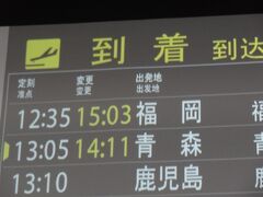 定刻より1時間6分遅れて到着。
あ～あ、現実の世界に戻って来ちゃいましたね。

ちなみにこの日の青森便はみんな遅延して、翌日は雪で全便欠航！
一日ずれていたら、帰って来れなくなるところでした。