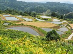 　９月７日、秋めいてきた長岡市山古志を訪ねました。
棚田(   https://niigata-kankou.or.jp/spot/14642    )も少しですが秋を感じました。

＜資料＞
山あいの斜面に階段のように連なる山古志の棚田。
限られた山の斜面を開墾し、水源の確保をおこない、道具や肥料、刈り取った稲なども全て背中にしょって歩いて運搬するなど先人の大変な努力の積み重ねによりつくられてきました。
田植えが終わると錦鯉の稚魚が放され、1年でもっとも美しい季節が始まります。

平成15年6月12日に文化庁の農林水産業に関連する文化的景観の重要地域に選ばれました。
また、平成29年には「雪の恵みを活かした稲作・養鯉システム」として日本農業遺産第１号にも認定されています。
