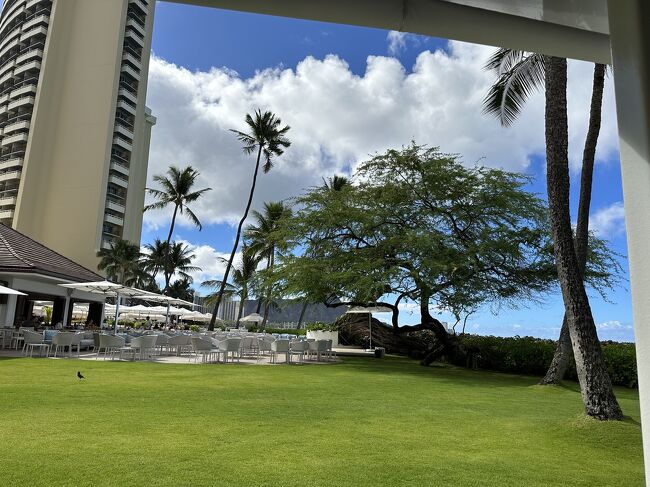2023年7月kikiさんの今年3度目のHawaii ⑥ ハレクラニ』ホノルル