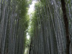 嵐山 竹林の小径