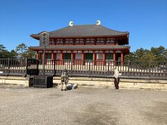 　興福寺の中金堂。最近３百余年ぶりに再建されました。