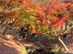 奈良公園吉城川のほとり
