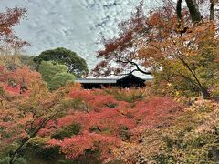 通天橋を渡りながら