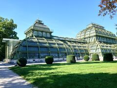 温室（Palmenhaus）に到着した。
この温室は1882年に完成した歴史的にも価値ある建物だ。
ロンドンのキューガーデンとパリ植物園の温室を見てきた私としては、シェーンブルン宮殿の温室も外せない。