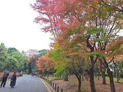 北の丸公園