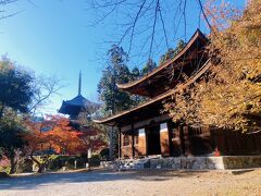 三井寺金堂も素晴らしい。