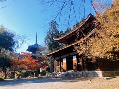 園城寺(三井寺)金堂