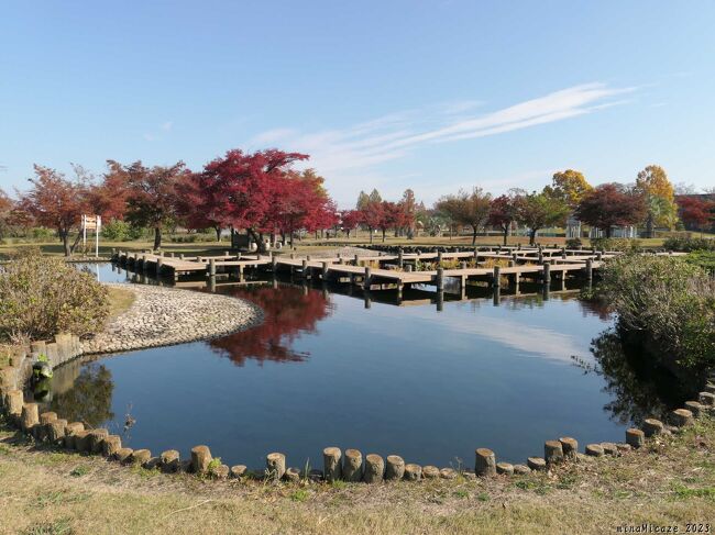 館林のおてんば 公式】ぽんちゃん（群馬県館林市） | こんにちは♪ぽんちゃんだ