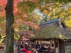 　古民家風の茅葺屋根が印象的な水谷茶屋へ。