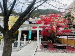 下呂温泉街を歩いていると、新しい神社なのかなぁ？
ゲロゲロかえるの加恵瑠神社
紅葉が綺麗