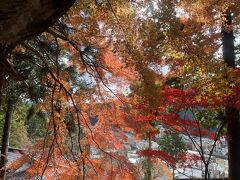 大阪から車で4時間、下呂に到着
温泉寺の裏山の駐車場に車を停めさせてもらいました。
