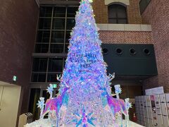 ワールドポーターズのクリスマスツリー