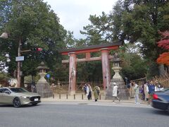 奈良公園に入りましょう。