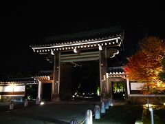 知恩院の門と紅葉がライトアップされ綺麗