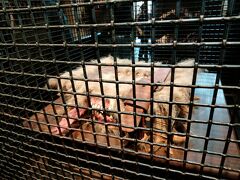 で、はりぽたえりあに行きまして～
あーこのこ今まであまり気にしていなかったわ！とパチリ