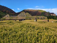 到着したのはラコリーナ近江八幡
この建物だけかと思っていたらこの後ろにまた下の写真の建物や空間がありました