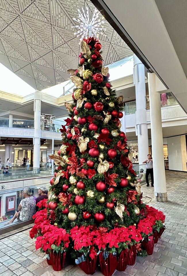 ホリデーシーズンのハワイ☆クリスマスツリーを一挙にご紹介 ホリデーシーズンのハワイ☆クリスマスツリーを一挙にご紹介
