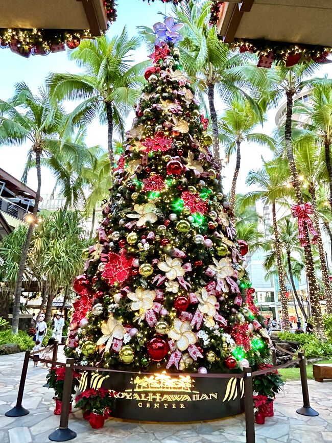 人気満点 ホリデーシーズンのハワイ☆クリスマスツリーを一挙にご紹介 クリスマス