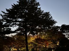 東京都庭園美術館 庭園