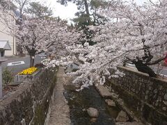 先に吹屋地区を観光し、吹屋ふるさと村にしっかり滞在した結果、高梁に戻ってきたのは4時過ぎでした。観光駐車場も空きがあったためとりあえずは街巡りへ。駐車場からすぐ紺屋川の通りに出ることが出来ます。