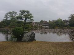 津山城跡の北に津山藩の大名庭園があるとのことで、津山城の桜祭り会場から足を延ばしました。津山城からは北に徒歩で10分ほど。なんと入場料無料でした。雨が降っていたのでほぼ貸し切り。