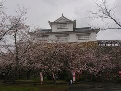 平成になって城址の南側に備中櫓が再建され、中も見学できます。その北側に天守台があり、そこまで登ることが出来ます。