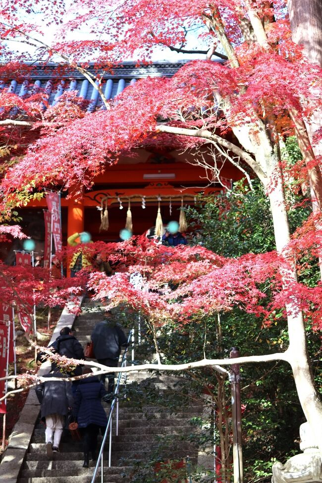 14:10　毘沙門堂門跡到着