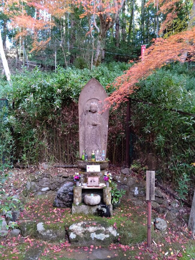 毘沙門堂の塔頭、双林院さん