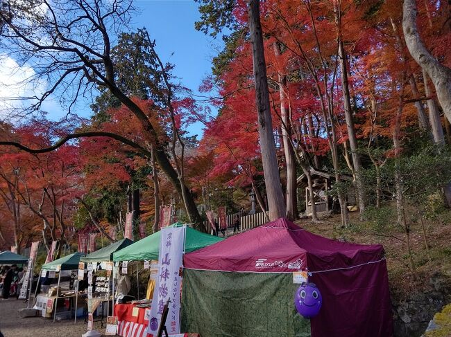 15:08　毘沙門堂もみじまつり　