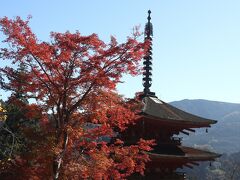 「一切経蔵」の横では、五重塔と紅葉が重なって綺麗です。