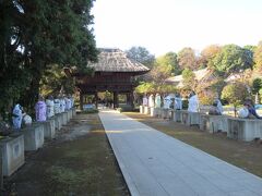 茂林寺に行きました。1426年開山、和尚に化けた狸が茶釜をもたらし、福を与えたという分福茶釜伝説が伝わる寺です。明治時代に厳谷小波の童話によって全国的に知られるようになりました。茅葺屋根の落ち着きある山門の先の参道には、衣装を身に着けた25体の狸の像が参拝客を迎えています。本堂も茅葺屋根の趣ある建物で、境内には厳谷小波の詩碑が建ち、樹齢600年と伝わるラカンマキの大木が生育しています。