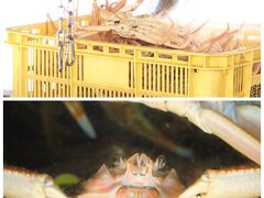 今回、カニをいただくのは「魚屋の喰い処まつ田」さん
越前ガニのお出迎えを受け・・・