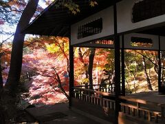 紅葉亭に美しい紅葉です