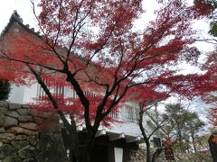 まずは真っ直ぐ城へと向かいます。城門の白壁と真っ赤な紅葉のコントラストが美しいです。