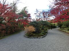 しばらく城下町を散策して、クーポンを使って食べ歩きなどを楽しんだ後、少し離れた所にある日本庭園、「有楽苑」を訪れました（ここの入場割引券もセットチケットに含まれていました）。こちらの庭園でも紅葉が見頃となっていました。