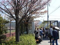 　地下鉄国際会館駅で下車して大原行のバス停へ。桜の時期なのでバスが頻発。