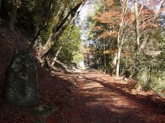 【世界遺産　高山寺】
京都駅から栂ノ尾・周山行の8時30分発のJRバスで約1時間

「栂尾山　高山寺」の石碑は富岡鉄斎筆

