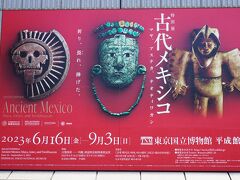 第1位「古代メキシコ －マヤ、アステカ、テオティワカン」（東京国立博物館）6月16日～9月3日開催、6月17日訪問
今年の第1位は、古代メキシコ文明の奥深さと魅力に迫る特別展「古代メキシコ ーマヤ、アステカ、テオティワカン」開幕日の翌日の土曜日、妹を連れて行ってきました。私は、私は、2012年の8月、メキシコで8日間の遺跡巡りをしており懐かしい思い出と妹はピラミッドなどの大きな古代遺跡と生贄が大好物（笑）なので、二人でじっくりと楽しんできました。
